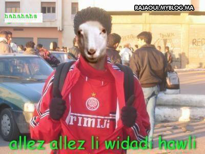 wydad